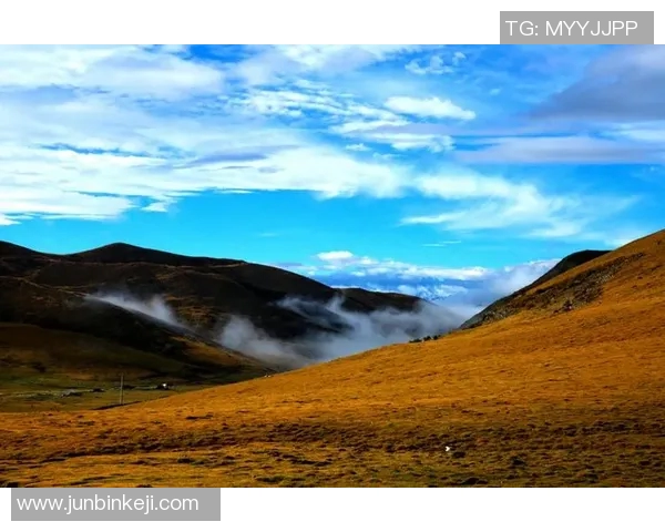 萨林杰的文学世界探索与心灵旅程：从孤独到共鸣的深度剖析
